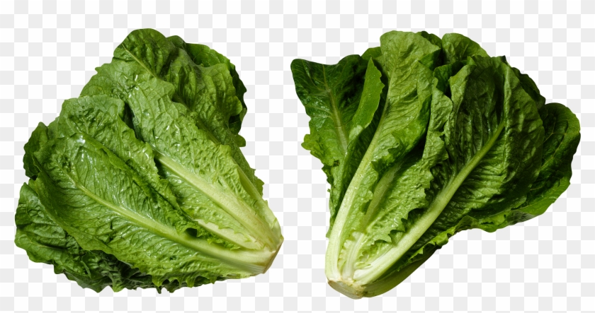 Green Salad Png Image - Lettuce Romaine #417756