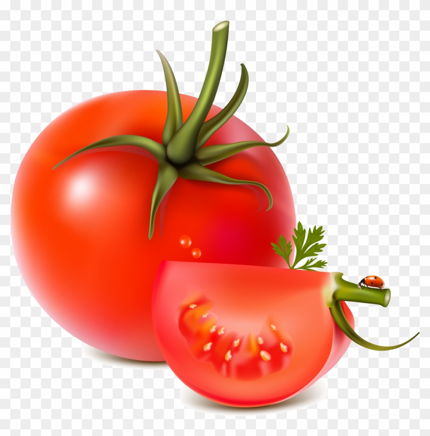 Tomato Png - Tomato Vector #417801