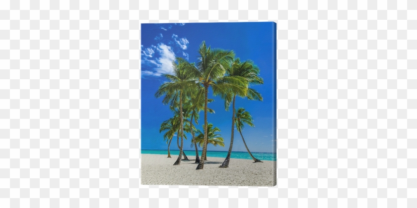 Cuadro En Lienzo Playa Del Caribe Exótica Con Altas - Tableau De Plage Avec Des Palmiers #417802