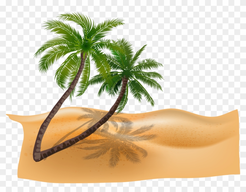 Vector Material Plant Coconut Trees Beach Beach - Palm Tree Breach Vector #417814