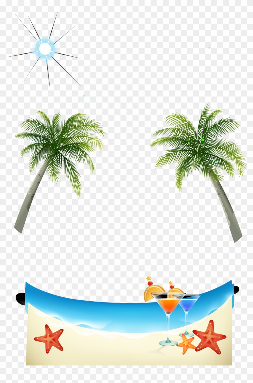 Coconut Tree Wallpaper - Coconut Tree Wallpaper - Free Transparent PNG  Clipart Images Download