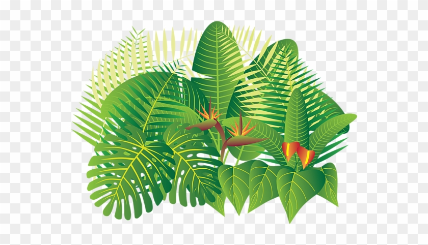 Bleed Area May Not Be Visible - Jungle Plants Png Illustrations #417873