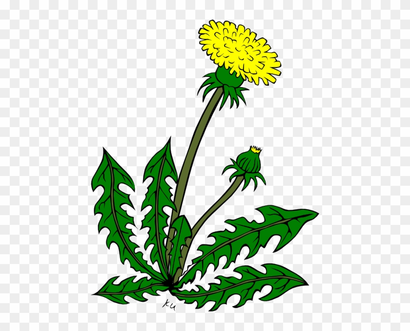 Flower Dandelion Clip Art - Garden Weeds Clipart #417879