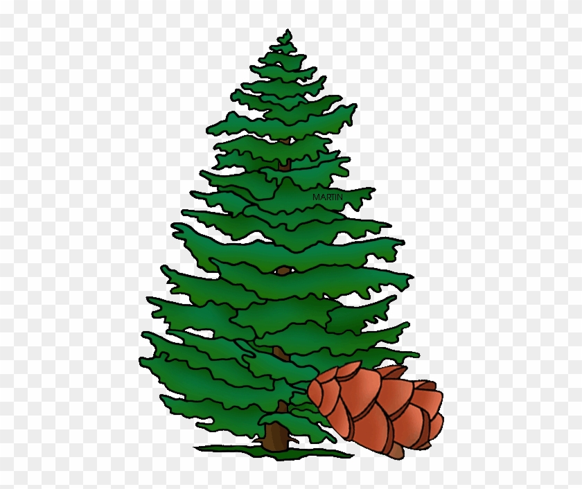 Pennsylvania State Tree Hemlock - Cartoon Hemlock Tree #417921