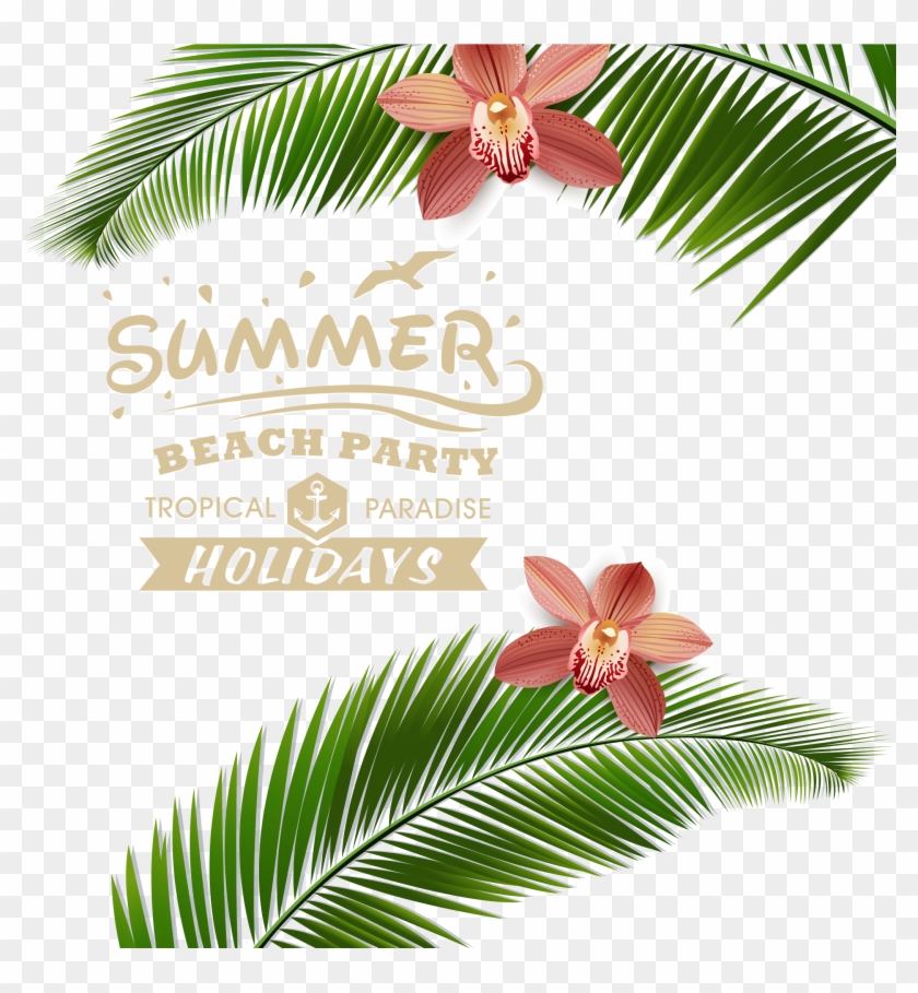 Summer Beach Resort Vector Material Posters - Beach Party Vector Png #417950