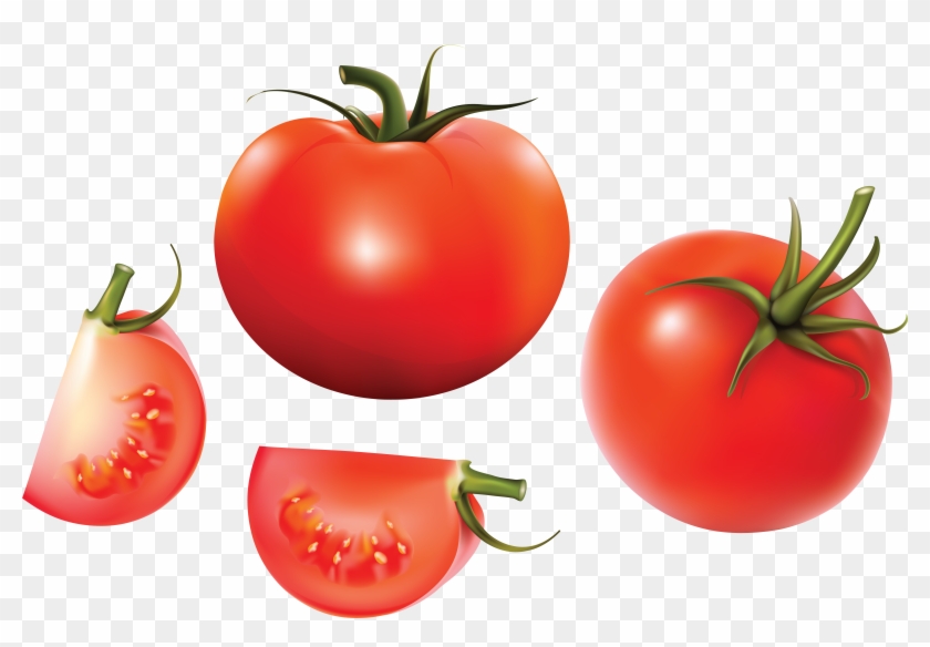 Tomato Soup Euclidean Vector Vegetable - Tomato Png #418065