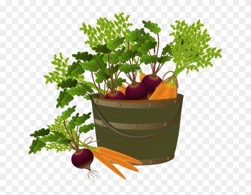 Nothing - Houseplant #418067