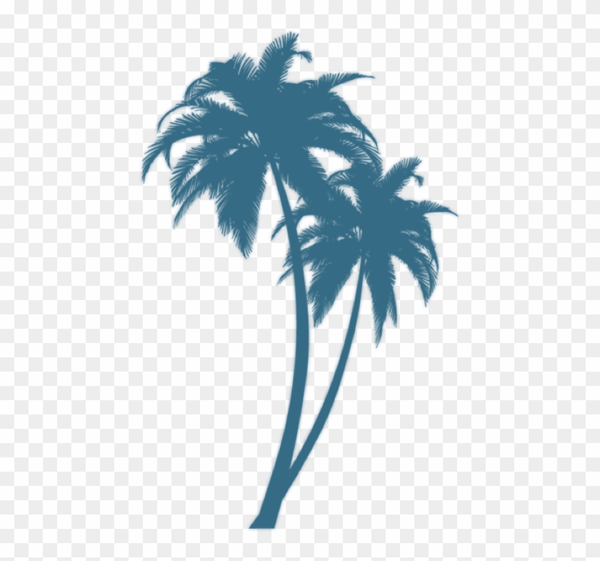 Turquoise Palm - Black Palm Tree Png #418268