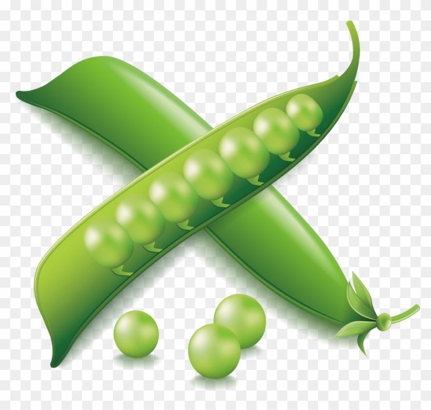 Vegetable Euclidean Vector Icon - Vegetable #418287