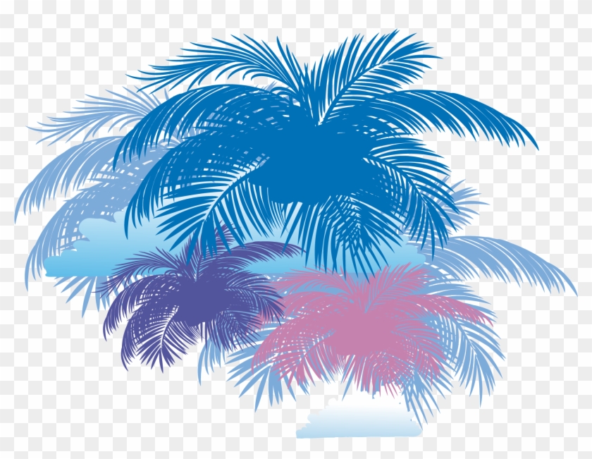 Arecaceae Coconut Tree - Coconut Background #418321