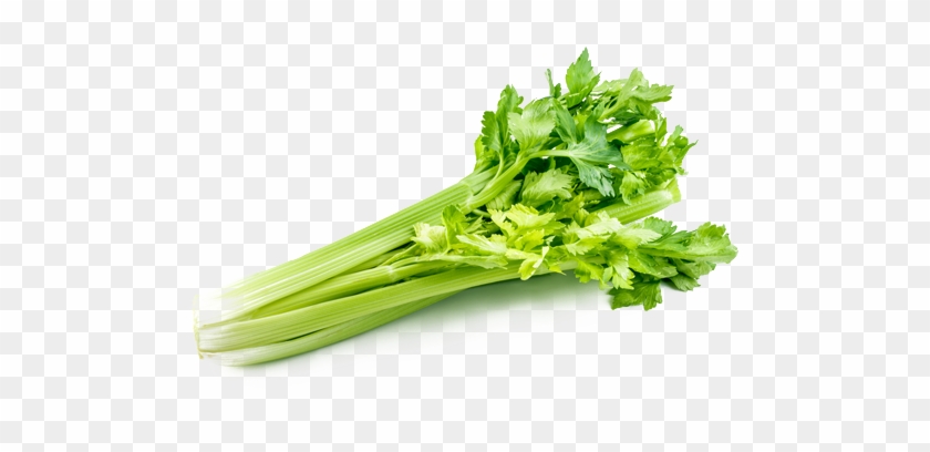 Celery Png Picture - Celery Png #418331