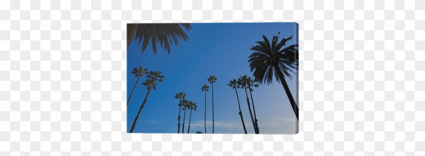 California High Palm Trees Silohuette On Blue Sky Canvas - Hollywood Sign #418401