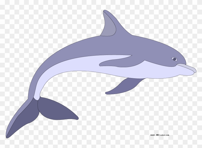 Dolphins Clipart Sad - Дельфин Рисунок #418566