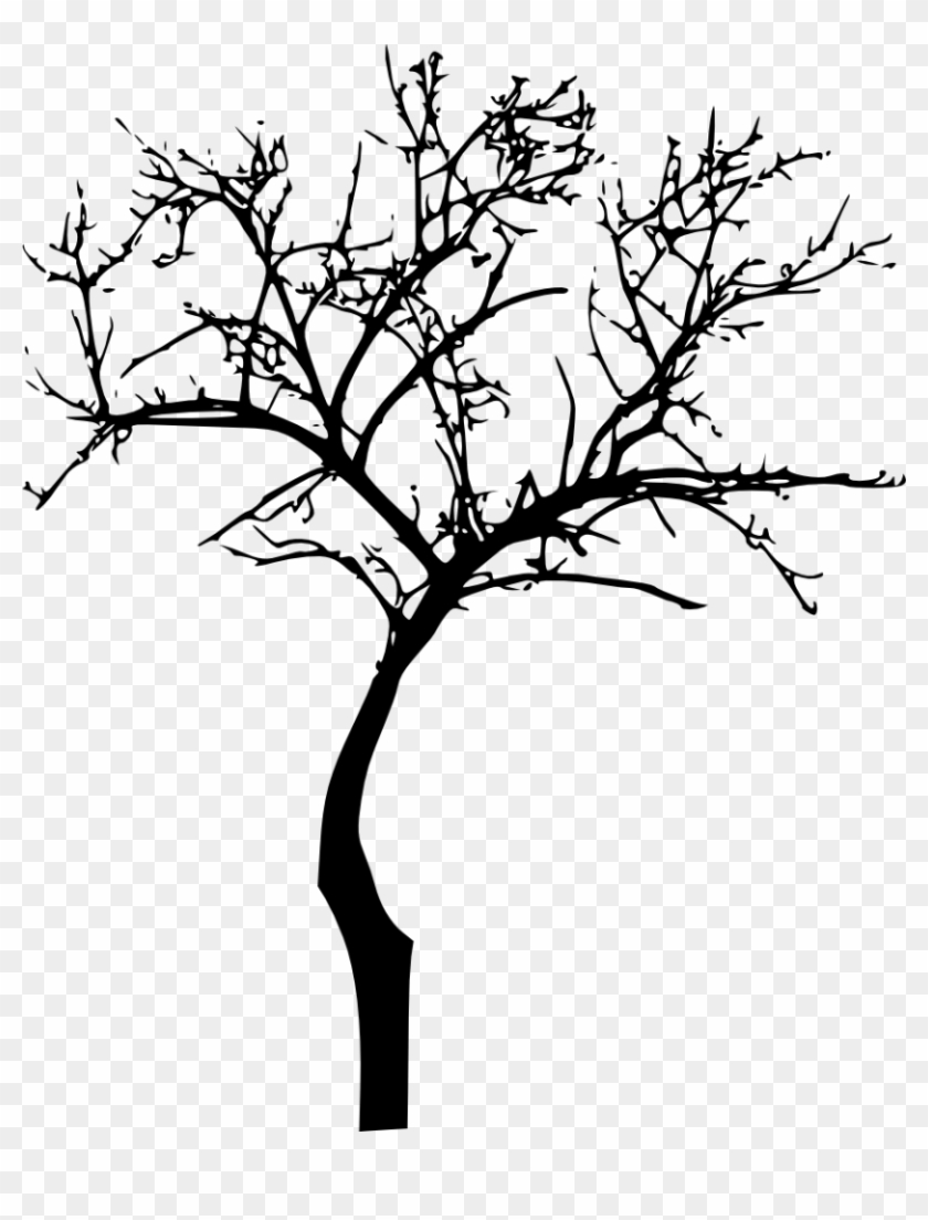 864 × 1064 Px - Black Tree Silhouette Transparent Background #418572