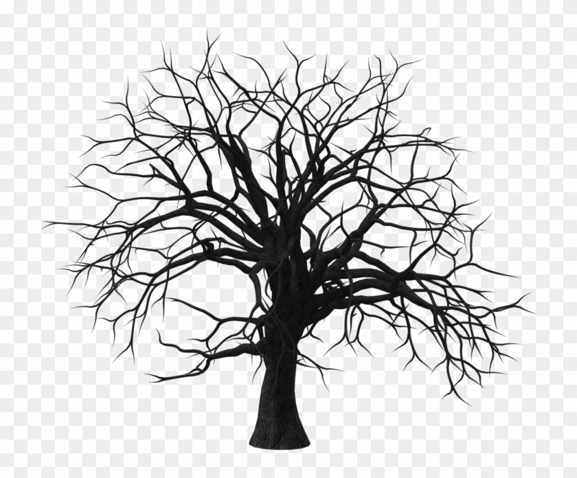 Tree 07 By Free Stock By Wayne On Deviantart - Black Dry Tree Png #418575