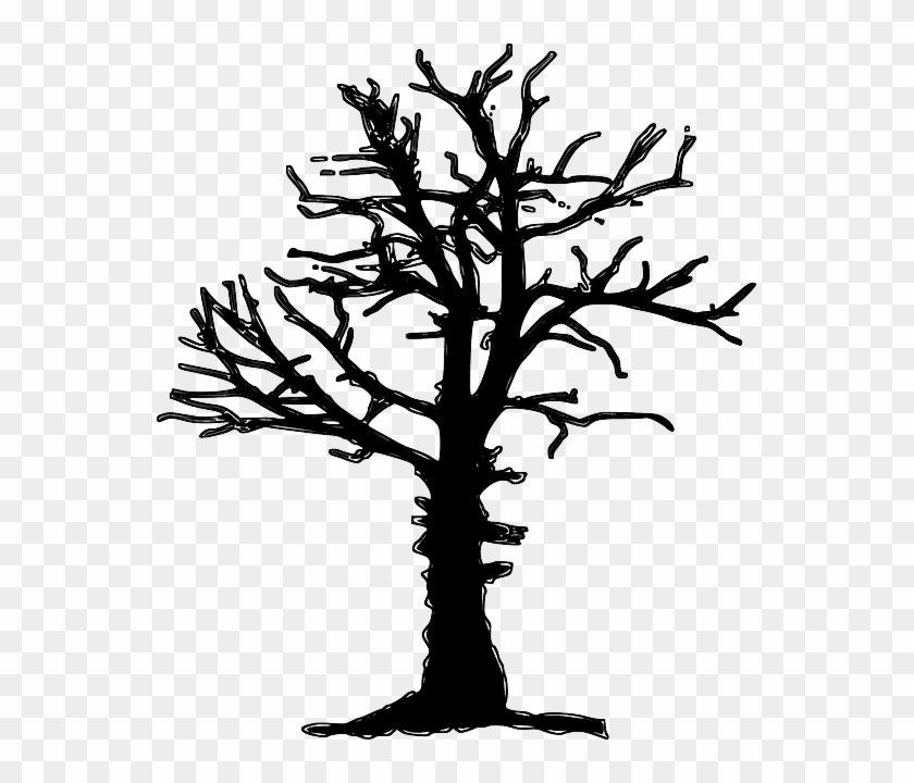 Plant Forest Dieback, Forest Decline, Tree, Dead, Dry, - Dead Tree Silhouette Png #418578