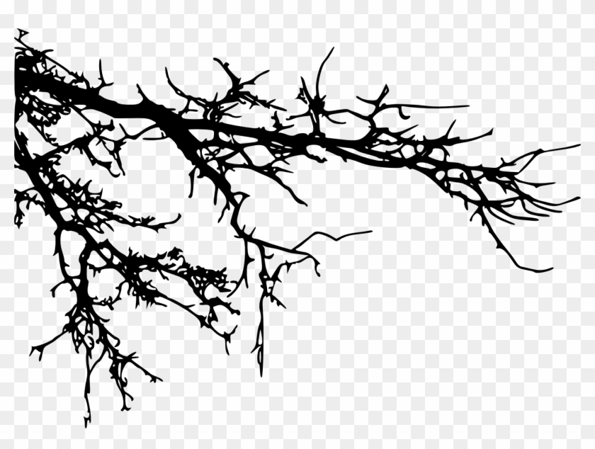Free Download - Branches Transparent #418589