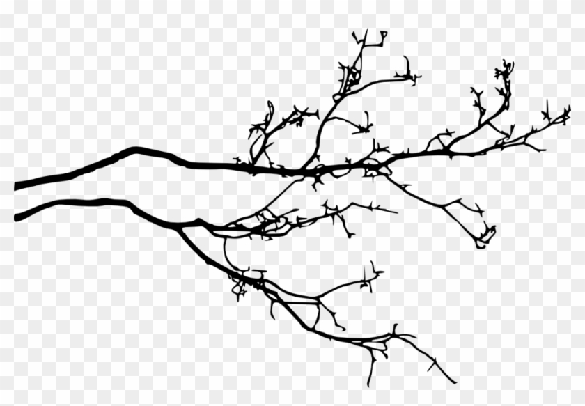 1200 × 705 Px - Tree Branch With Leaves Silhouette Png #418602