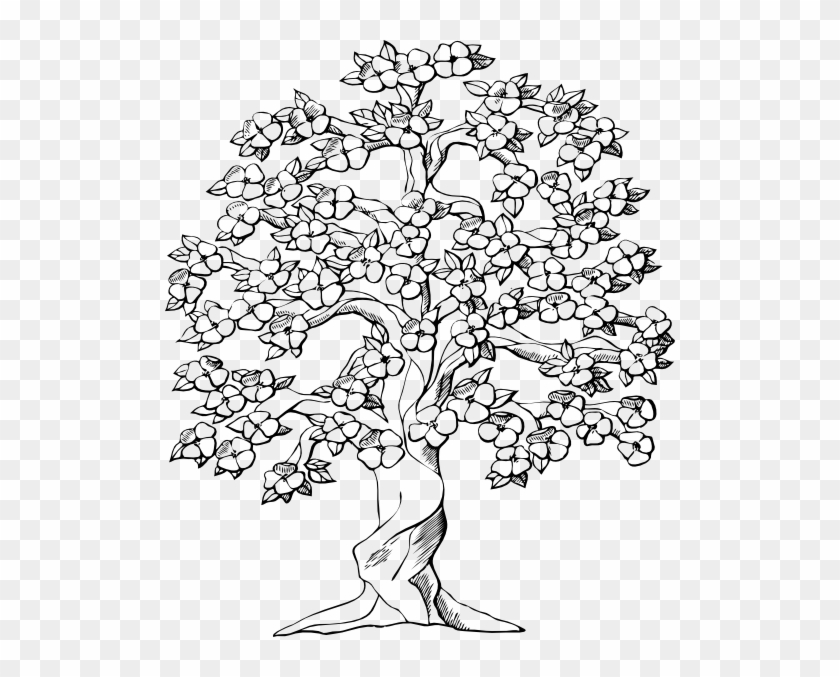 Drawn Roots Tree Illustration - Big Family Tree Drawing #418607