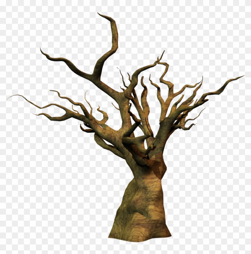 Dead Tree Png Stock By Roy3d - Dead Tree Png #418752