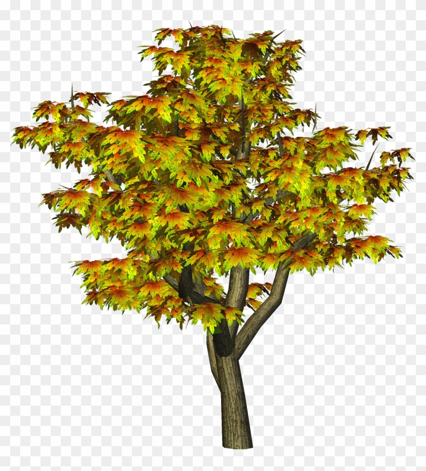 28 Collection Of Maple Tree Clipart Png - All Cb Editing Png #418756