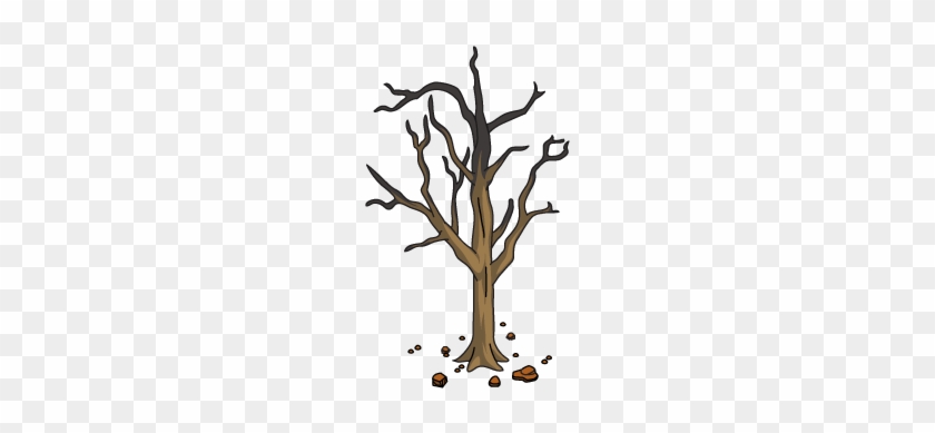 Dead Trees - Wiki #418774