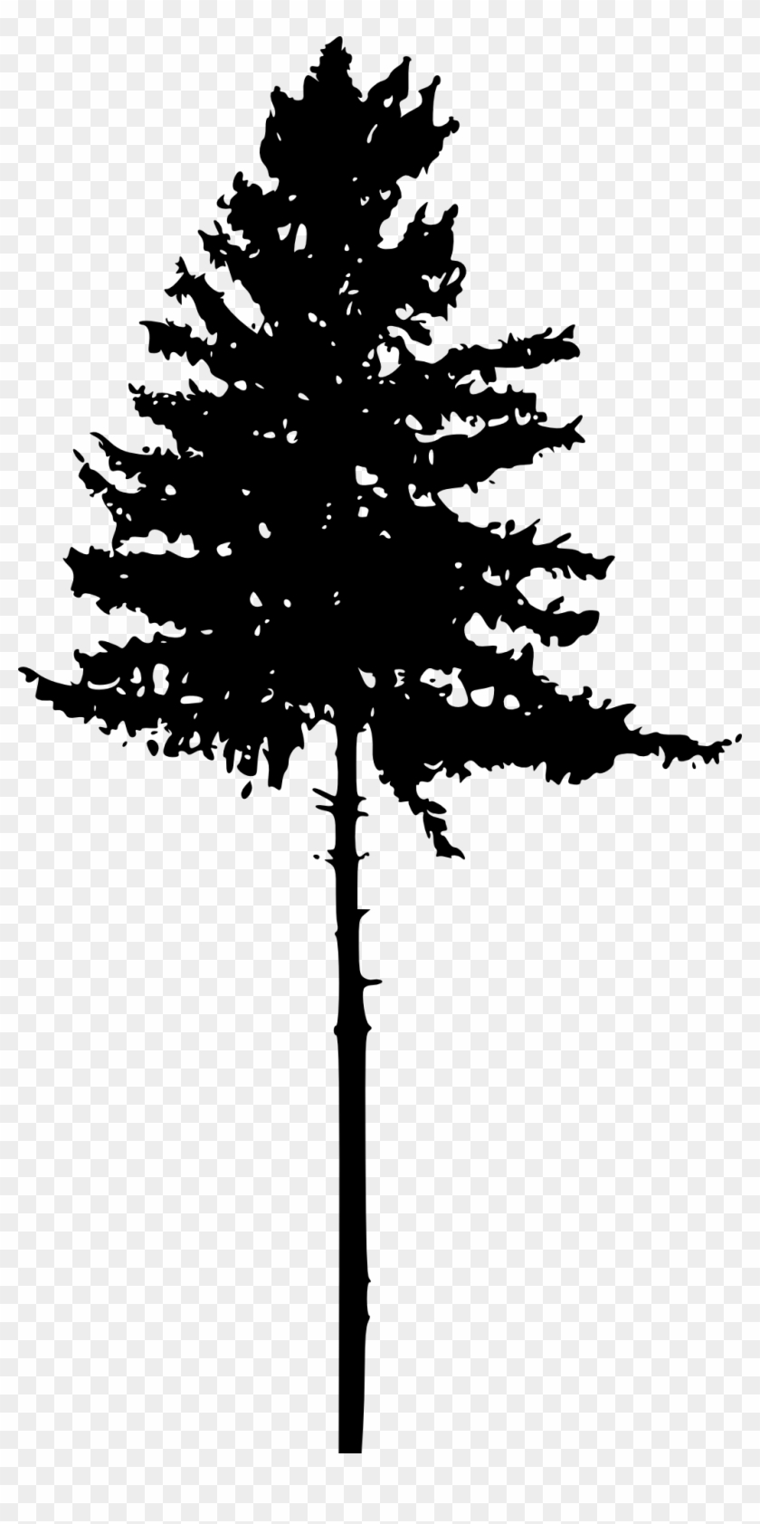 45 Tree Silhouettes Png Transparent Background - Pine Tree Silhouette Png #418805