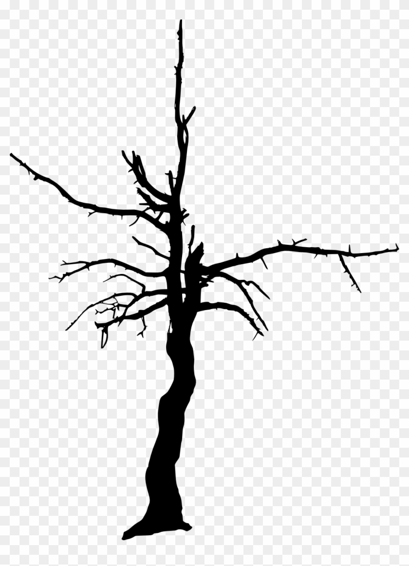 17 Dead Tree Silhouette - Dead Tree Transparent #418811