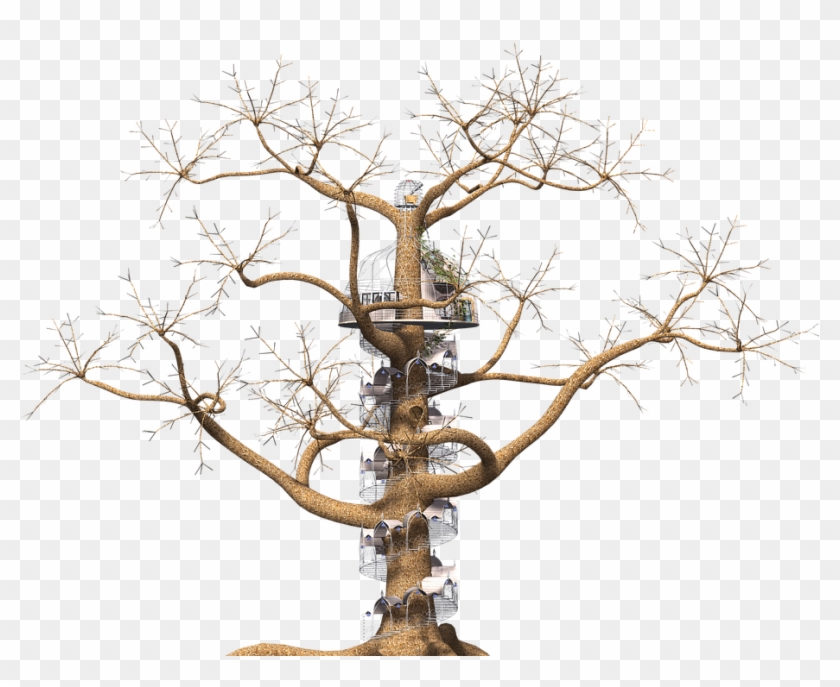 Dead Tree Clipart 12, Buy Clip Art - Wendeltreppe Um Baum #418818