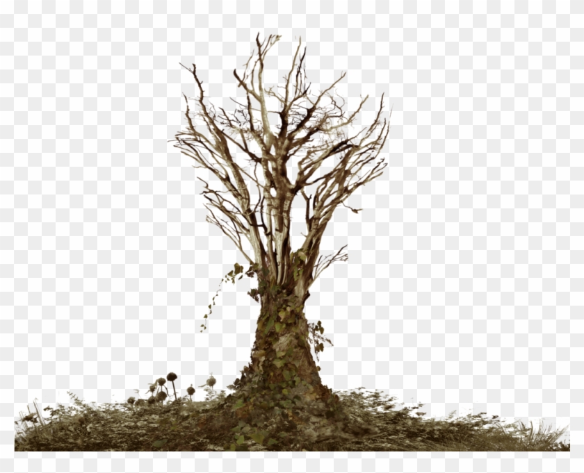 Dead Tree With Ivy Png Landscape Stock Warm By Annamae22 - Dead Trees Png #418822