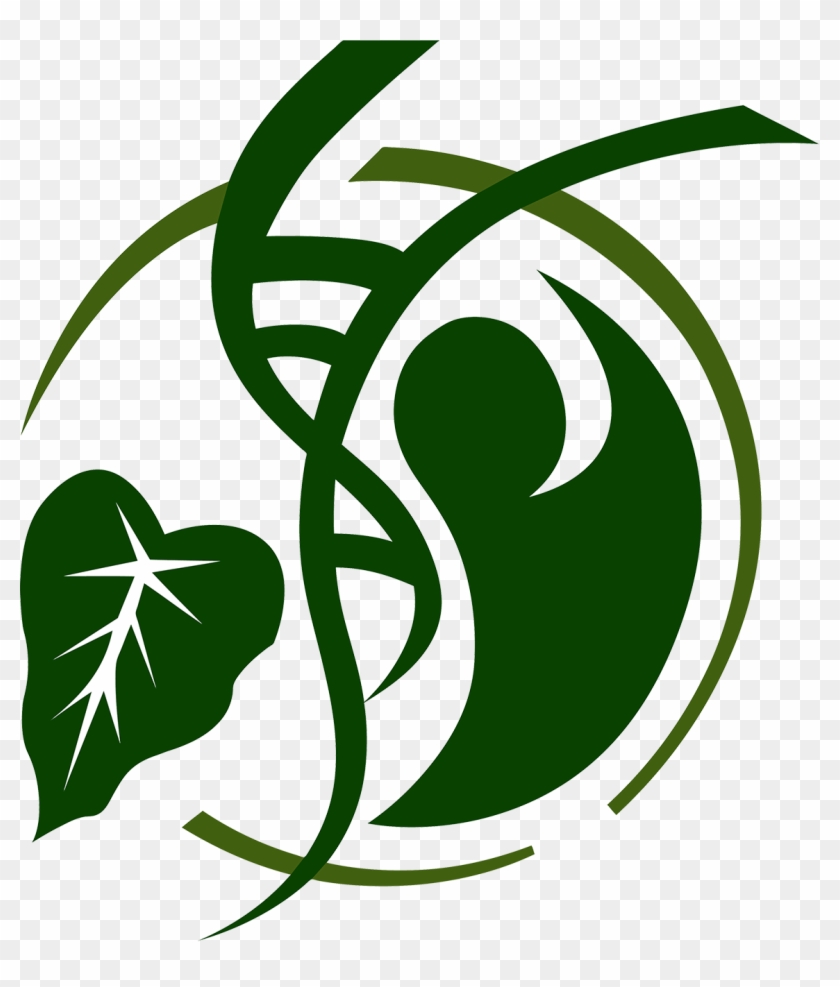Apitmid Logo - Transparent Background - Hawaii Health Symbol #418858