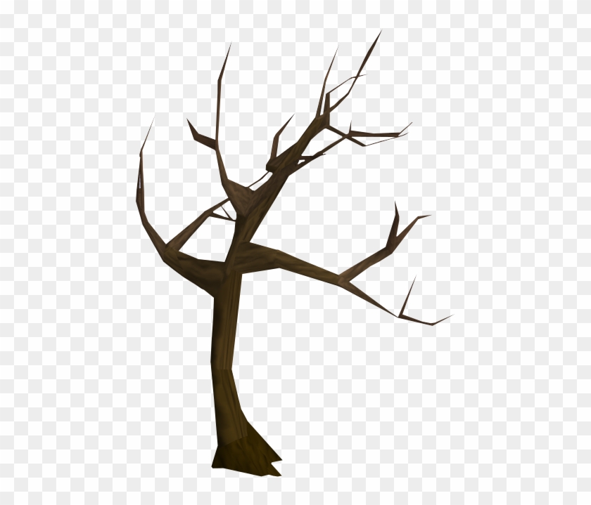 Windswept Tree - Dying Tree Png #418897