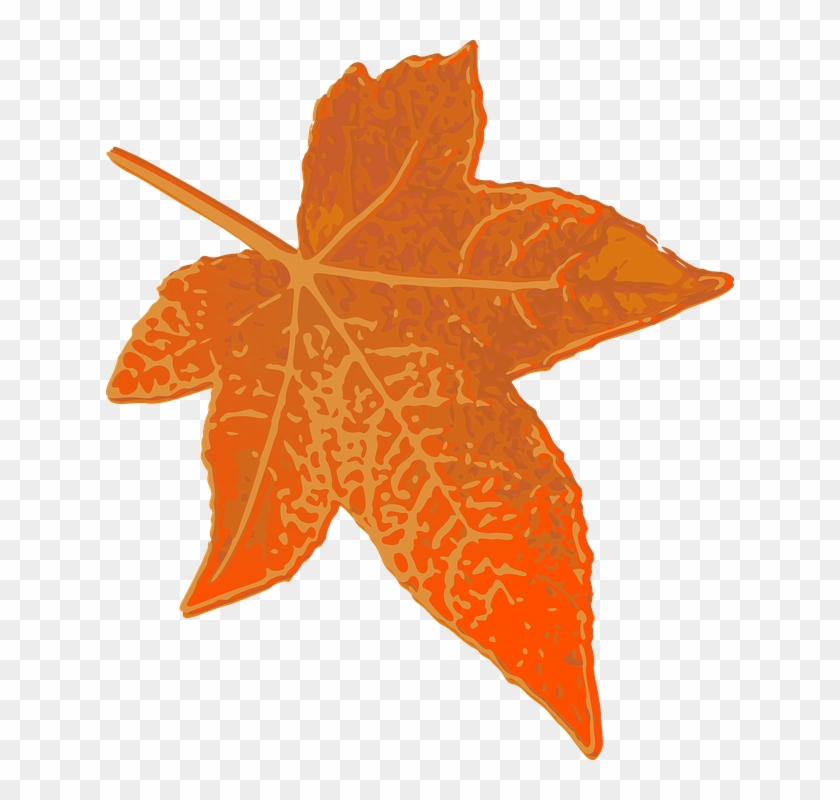 Fall Leaves Graphic 17, Buy Clip Art - Brown Leaves Transparent Clip Art #418908