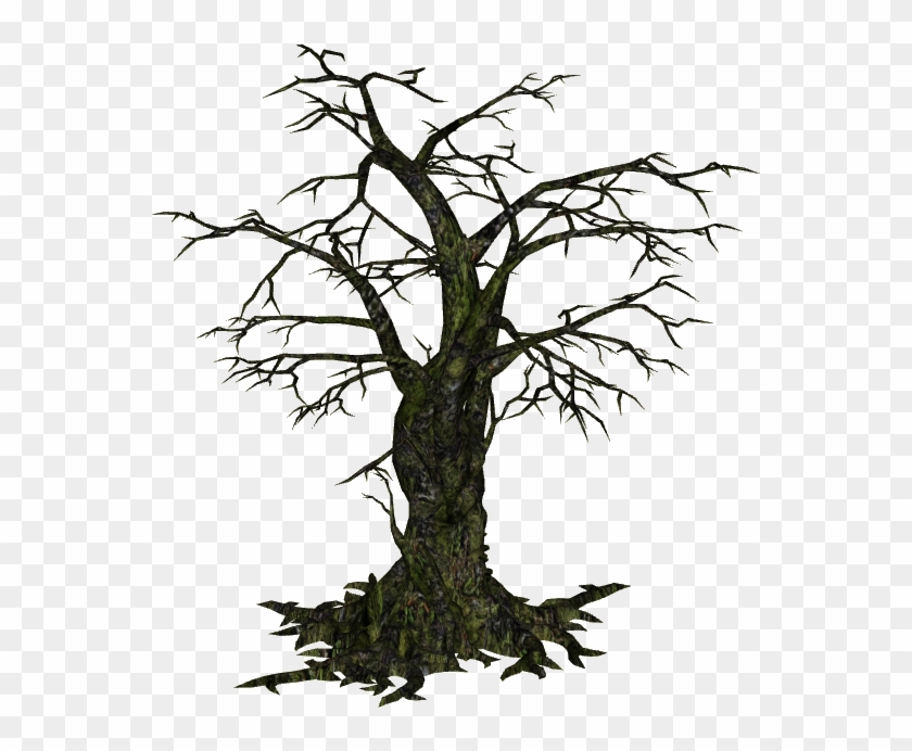 Creepy Tree - Creepy Tree Png #418930