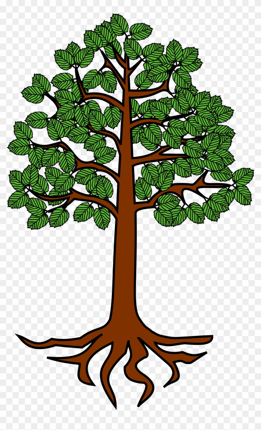 Cartoon Tree Picture 27, - Tree With Roots Clipart #418969
