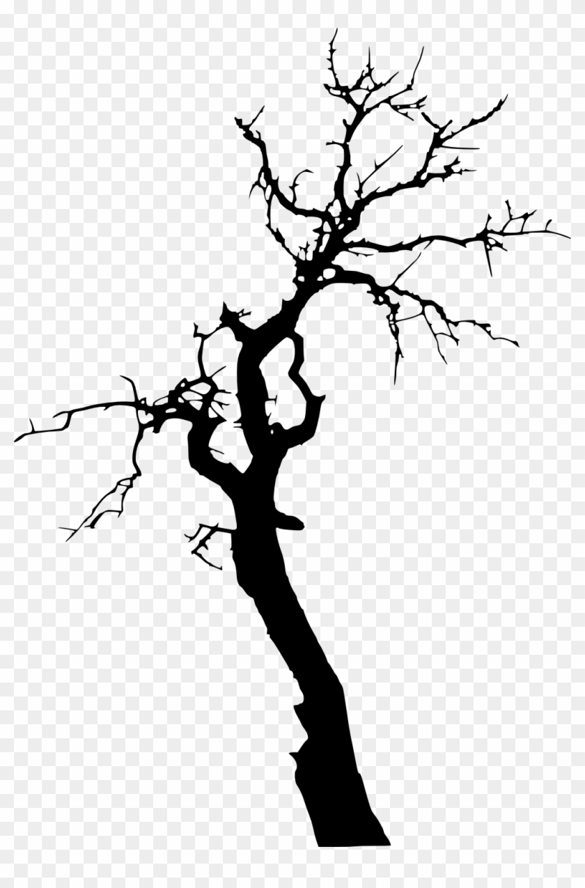 Dead Tree Png - Dead Tree Silhouette #419053