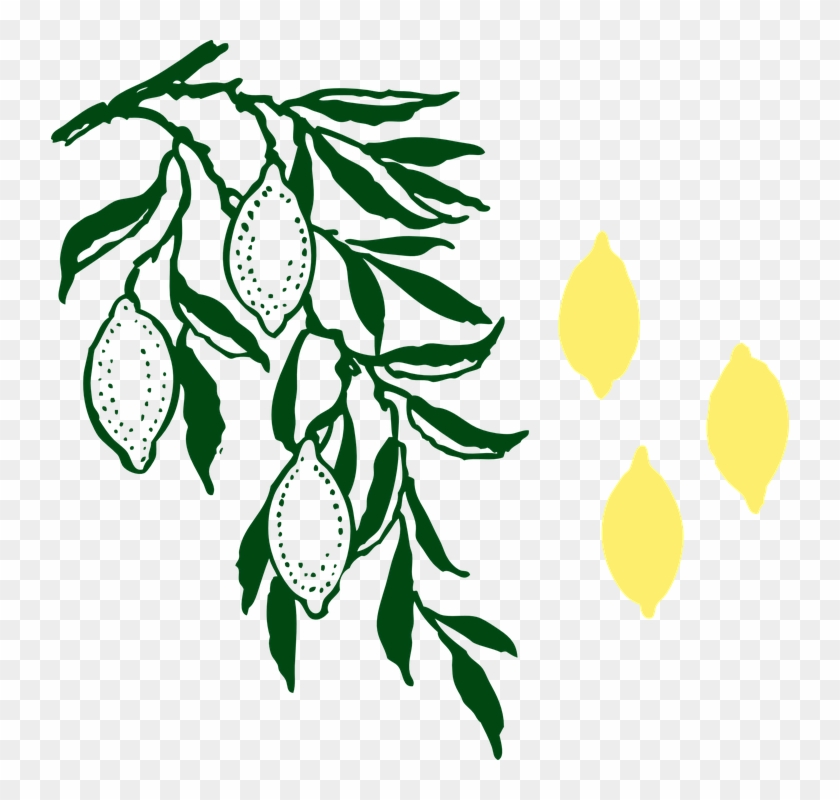 Lemon Tree Clipart - Custom Lemon Tree Shower Curtain #419312