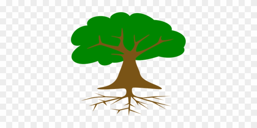 Baum, Wurzeln, Blätter, Querschnitt - Arbol Con Raices Dibujo #419347
