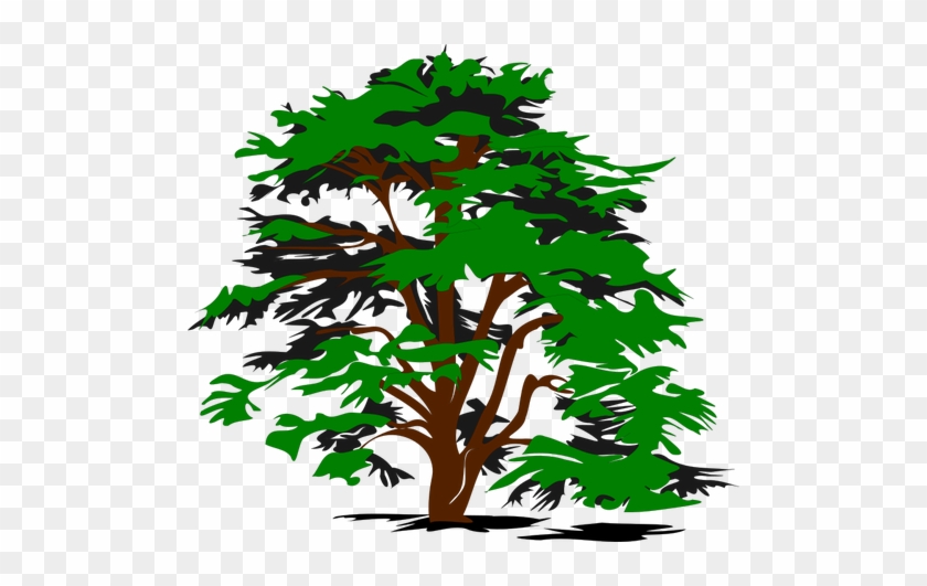 Simple Vector Tree - Cedar Tree Clip Art #419351