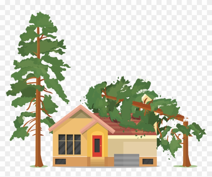 Eines Sollten Sie In Jedem Fall Immer Beachten - Fallen Tree On House Clipart #419364
