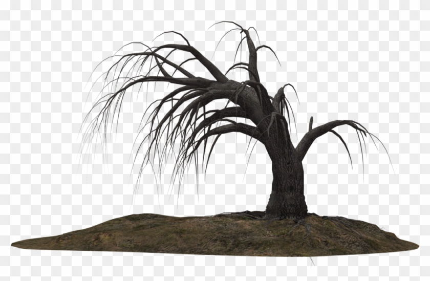 Creepy Tree 19 By Wolverine041269 On Clipart Library - Dead Tree Png #419389