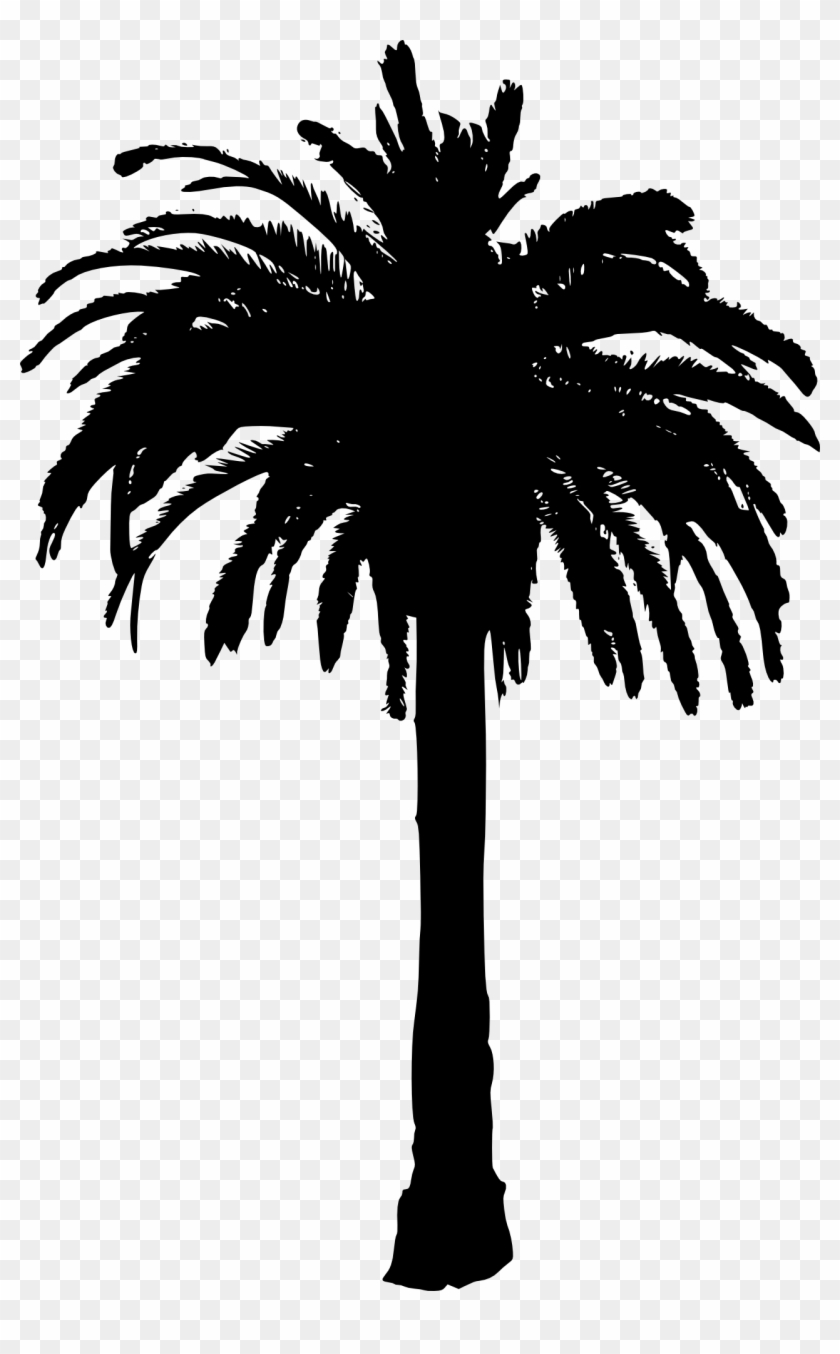 15 Palm Tree Silhouettes Png Transparent Background - Palm Tree Silhouette Png #419401