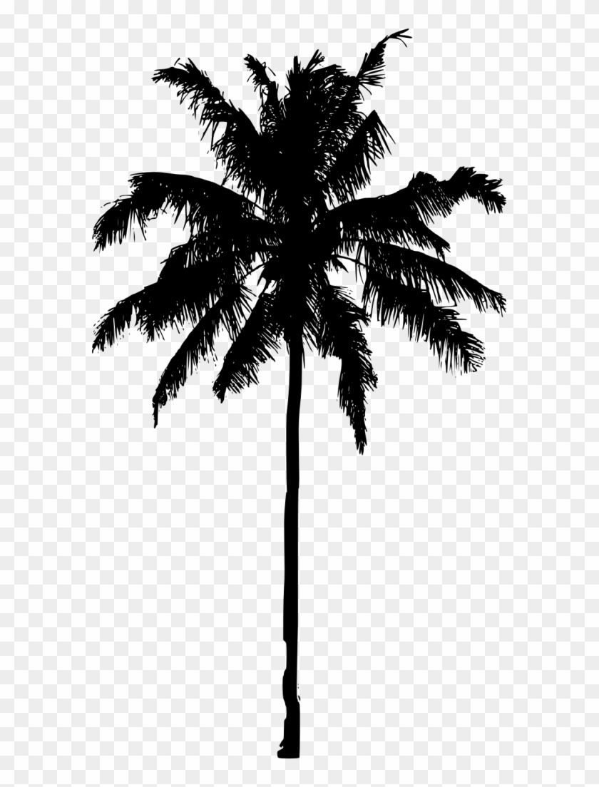 851 × 1500 Px - Transparent Palm Tree Silhouette #419416