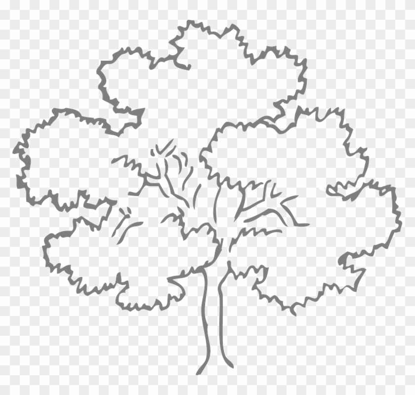 Easy Leaf Cliparts 12, - Tree Clipart Black And White #419476