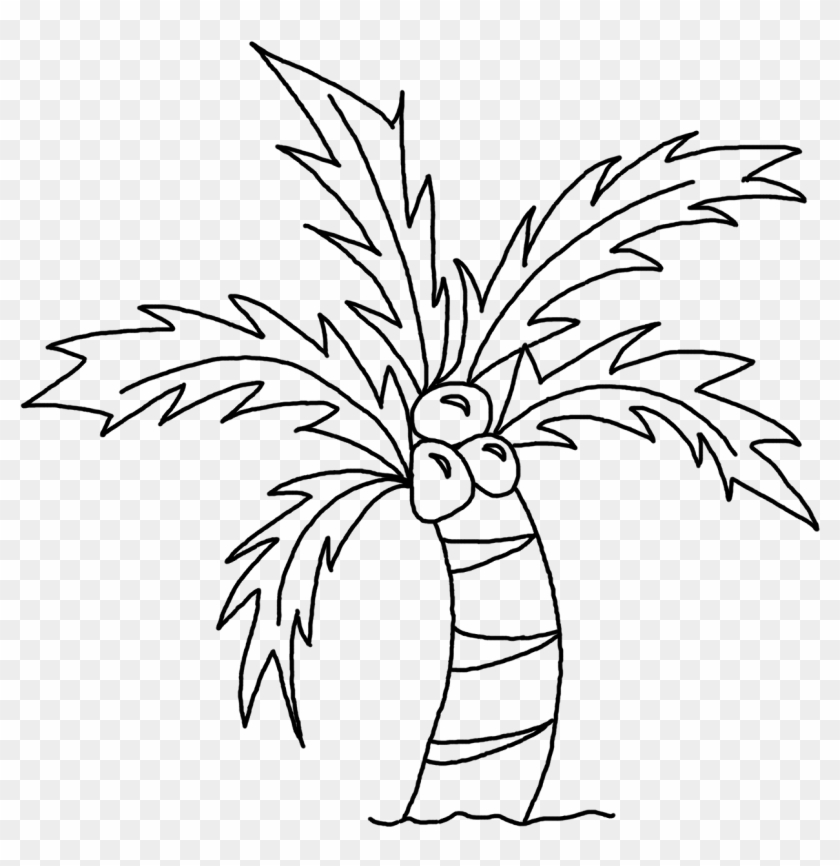 28 Collection Of Coconut Tree Drawing Step By Step - Drawing Coconut Leaves #419483