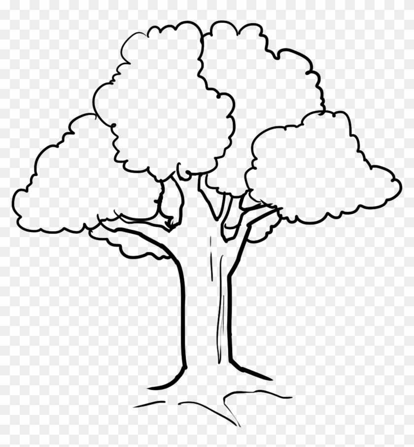 Tree - Coloring Picture Of Tree #419492