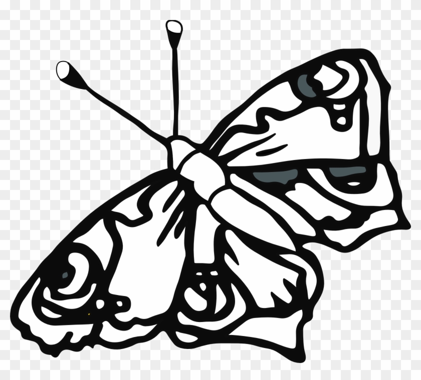 Butterfly Drawings In Black And White - Butterfly Coloring Pages #419563