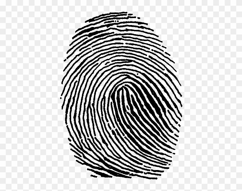 Fingerprint - Fingerprint Clip Art #419695