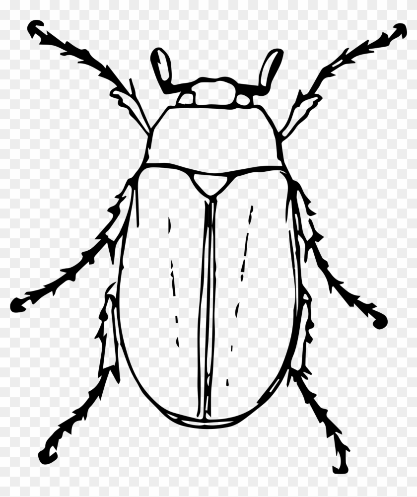 Big Image - Beetle Clipart Black And White #419766