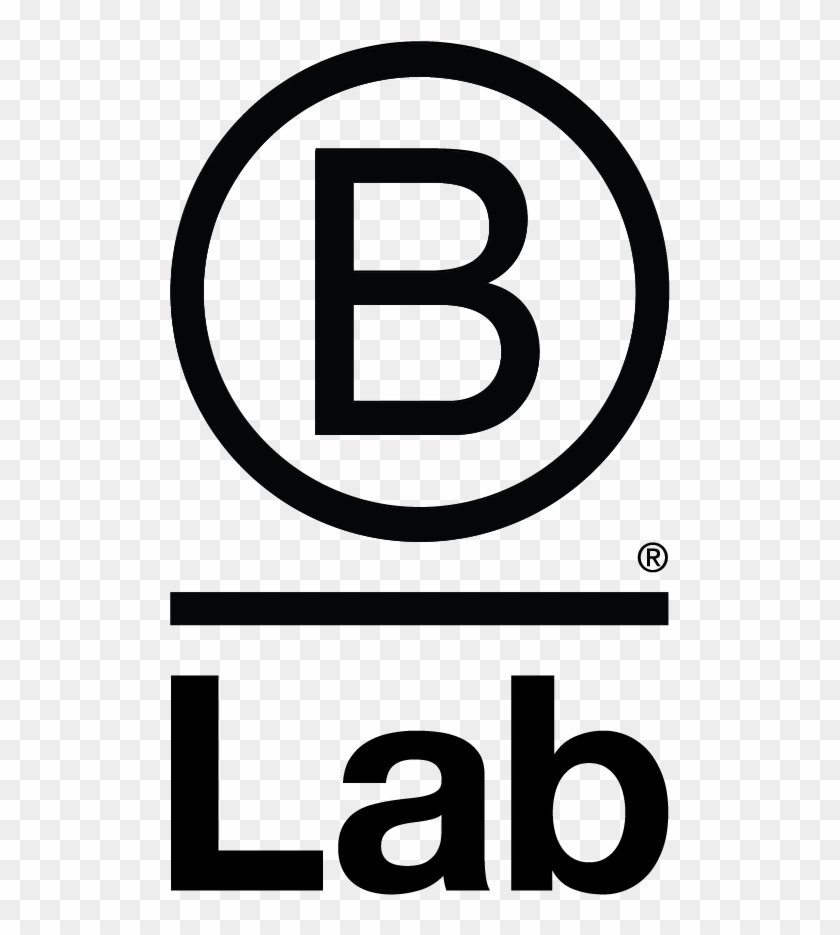 B Lab Is A Nonprofit Organization That Serves A Global - Everything's Fine The Summer Set #419961